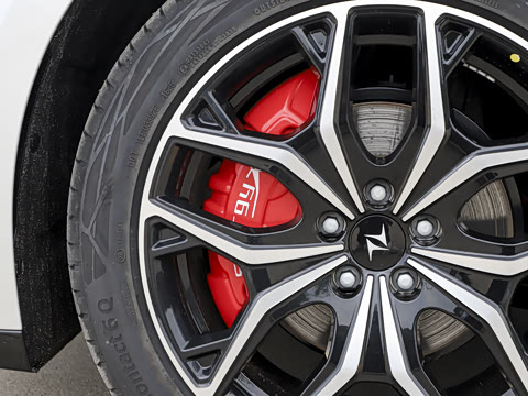 2025�� ���� 230ProѲ����