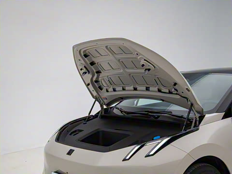 2025�� 530km ����Max