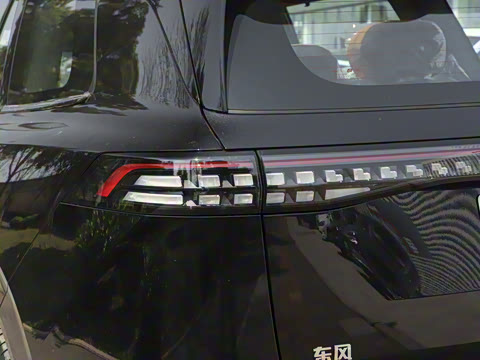 2025�� 636Max���Ȱ� 5��