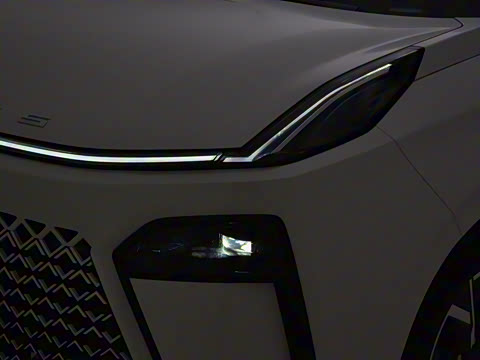 2024�� 2.0T �Զ��콢�� 7��