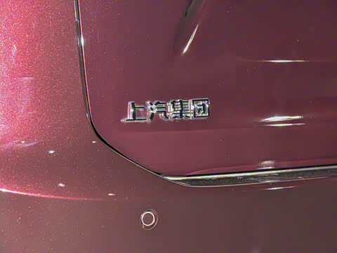 2024�� 2.0T �Ǽ�������