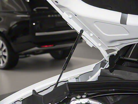 2025�� P250 R-Dynamic SE