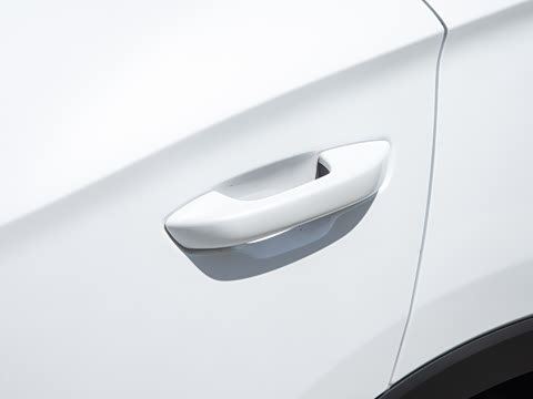 2025�� �ڶ��� DM-i 115KM׿Խ��