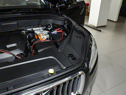 2025�� T8 ��������� 7��