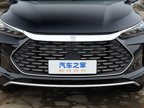 2024�� DM-i ��ҫ�� 112KM �����