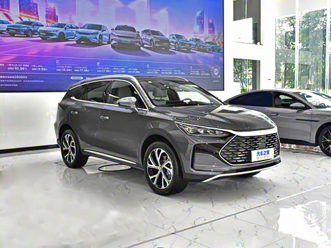 2025�� DM-i 115KM �����콢��