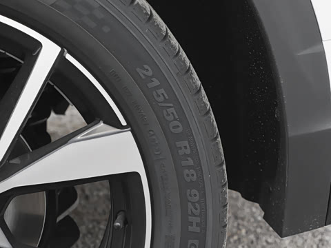 2025�� 300TSI DSG���������