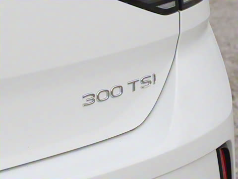 2025�� 300TSI DSG���������