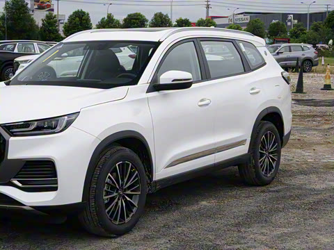 2025�� ׿Խ�� 230TCI �ֶ����ʰ� 7��