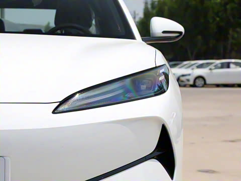 2025�� 520�ǻݰ�