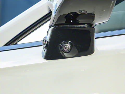 2025�� ���� 265 Max��������������ʻ