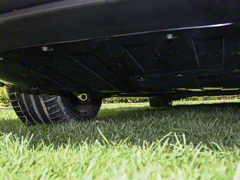 2024�� �������� Max