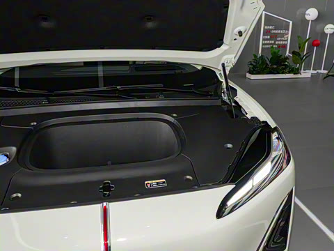 2025�� 520 ��ѡ��