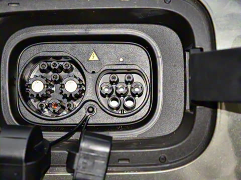 2024�� ����������