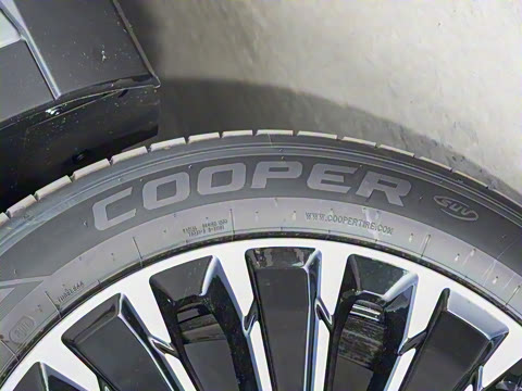 2025�� 200��������Pro����