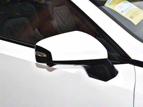 2025�� ���羫Ӣ��