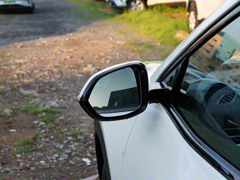 2025�� 500 ��ҵ��