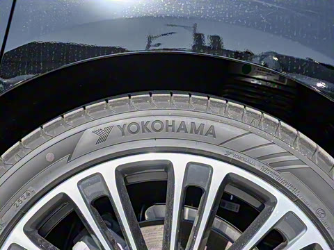 2024�� ���� Max ����������