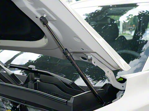 2025�� 290TGDI DCT�˷�� 