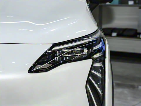 2024�� Younger ��ҫ��