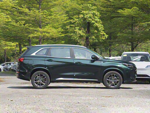 2025�� 165km ������������ 7��