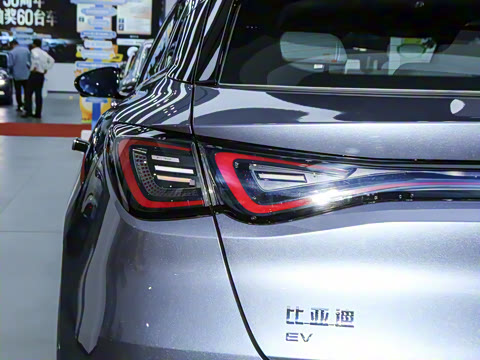 2025�� 505����Plus��