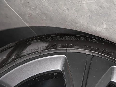 2026�� �Ͷ�������