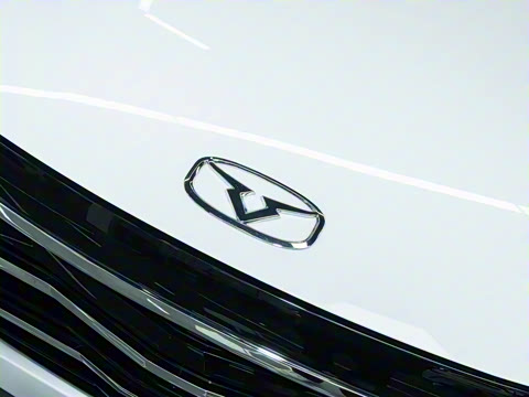 2025�� 1.5L �ֶ����ʰ�