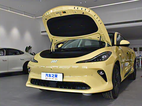 2025�� �������������Ǽݰ�