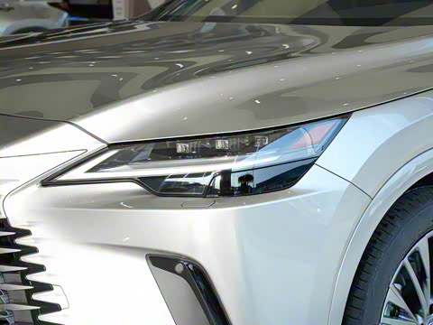 2025�� 350h ����������