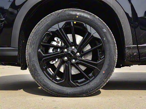 2025�� ���ն��� 1.5T ������