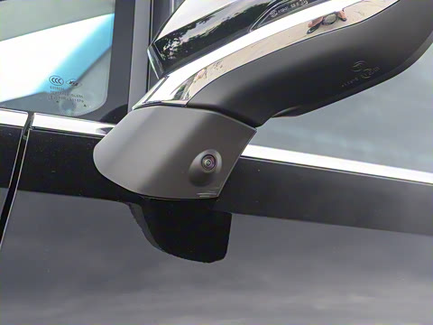 2024�� ���� ��������ɭ�ְ� ����