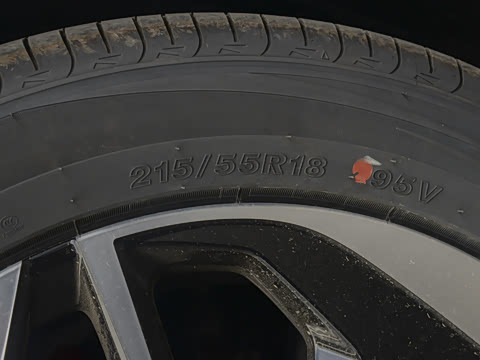 2025�� 520 Pro �����״��