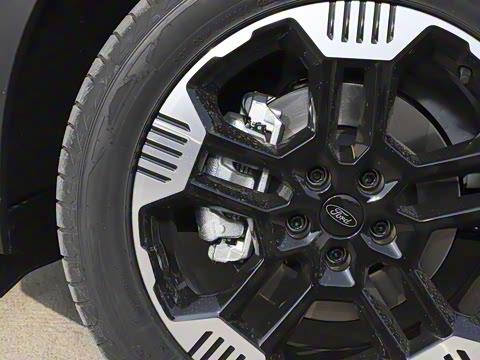 2025�� ������