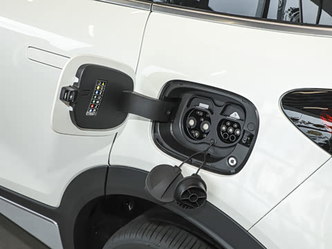 2026�� �鶯������