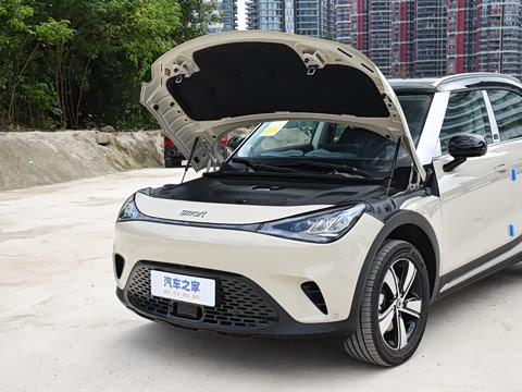 2026�� �鶯��������