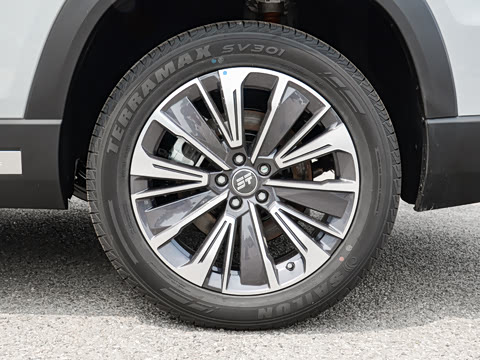 2024�� 1.5TD 2DHT Air 5��