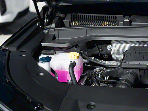 2024�� 120 �������������� 5�� ��Ԫ�