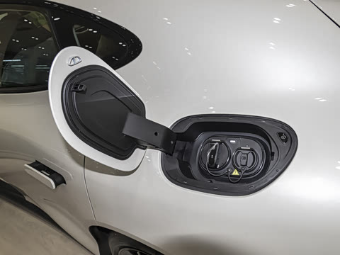 2024�� Max ����������