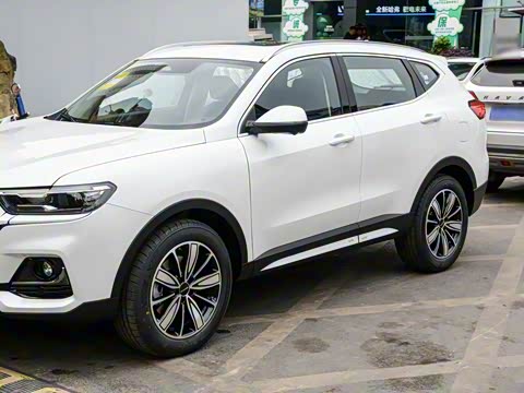 2025�� 1.5T �����ھ���