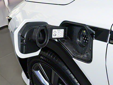 2025�� ����������Pro