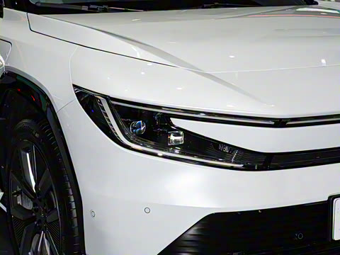 2025�� ����������Pro