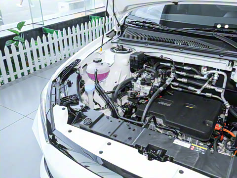 2024�� ��ҫ�� ������