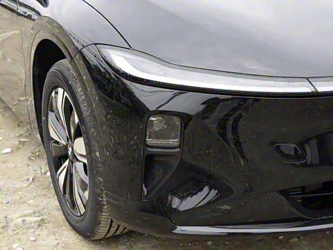 2025�� ���� ����� 230 ������