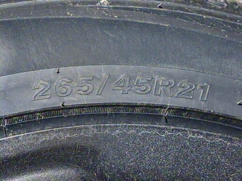 2025�� 501�����߽װ�