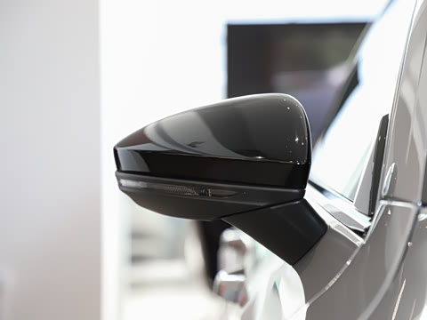 2024�� 2.9 TFSI quattro