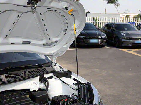 2025�� 1.5L �Զ�ʵ����