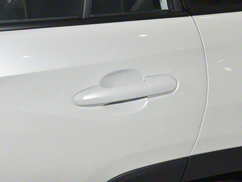 2023�� 2.5L ��������Pro