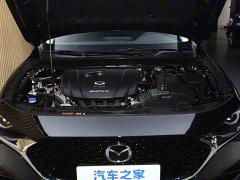 2023�� 2.0L �Զ������