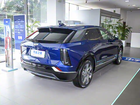 2024�� ������������